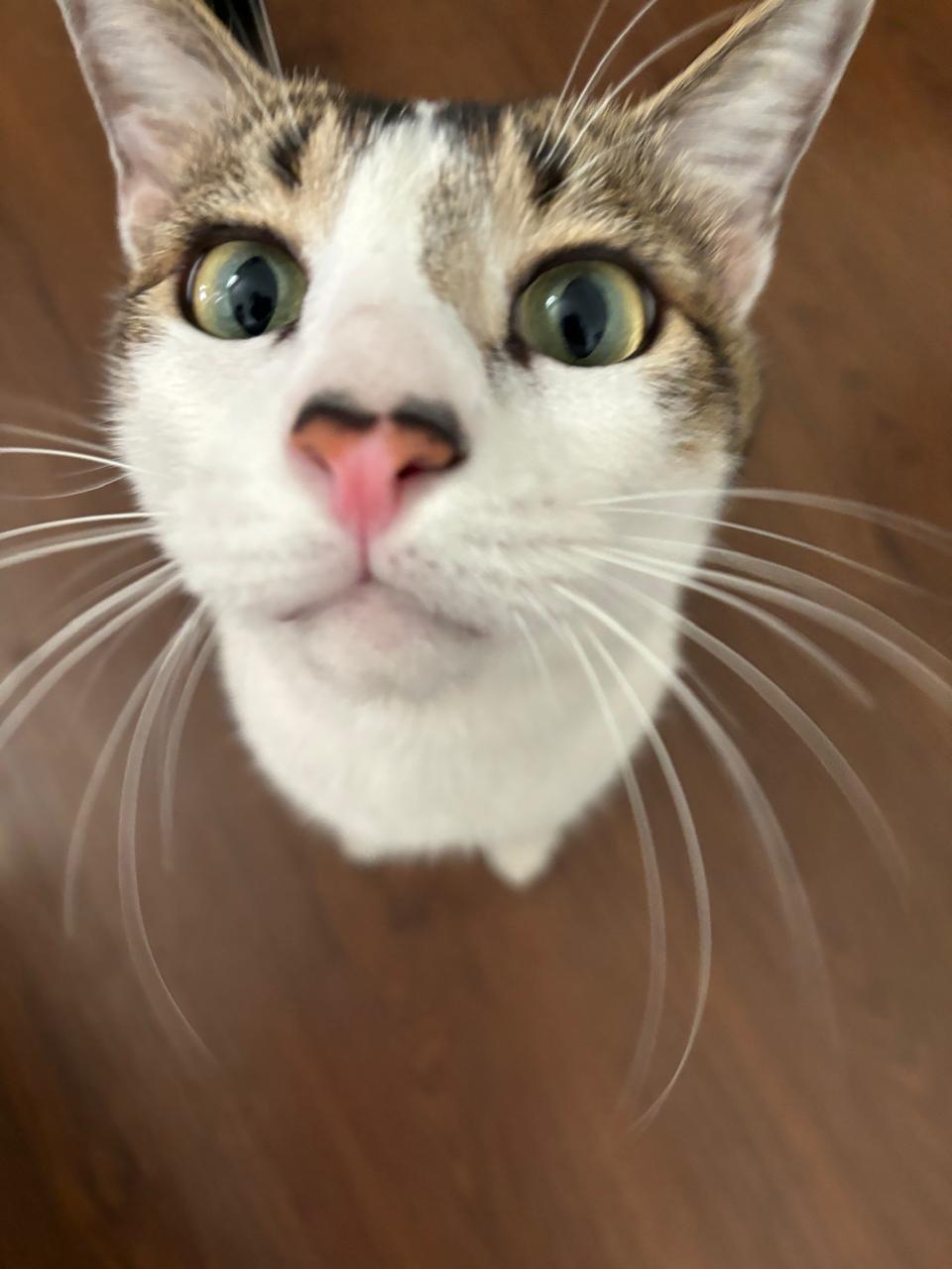 Mishu relaxing