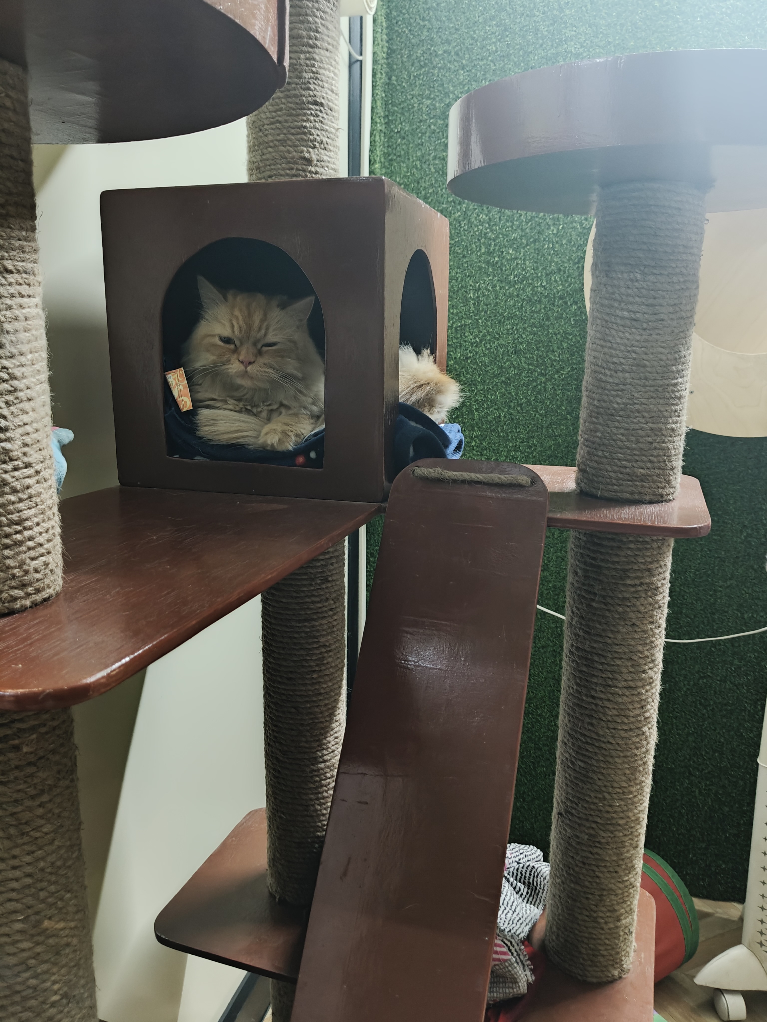 Our indoor boarding area