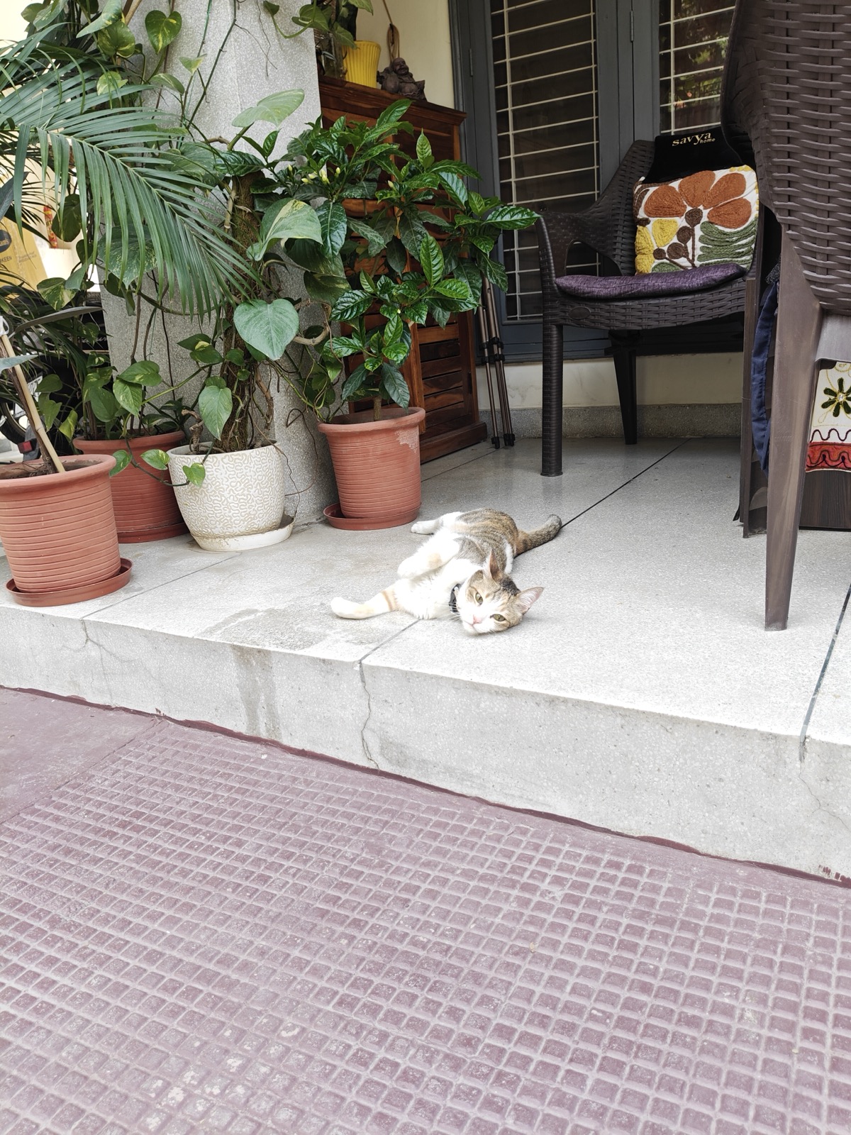 Outdoor garden 2
