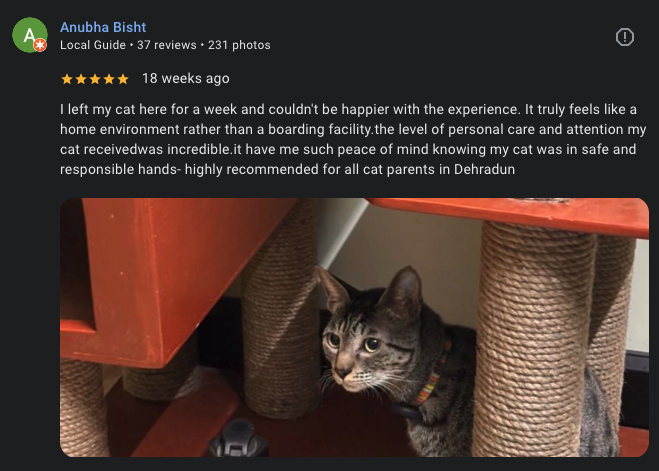 Google review 12