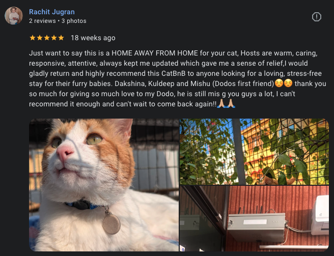 Google review 13