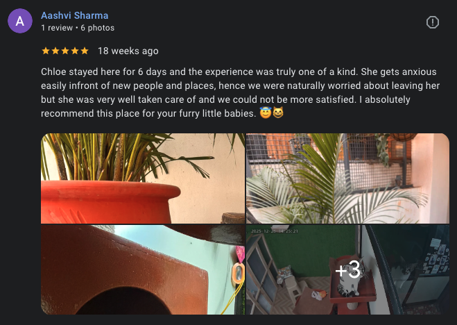 Google review 14