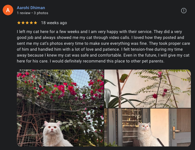 Google review 15