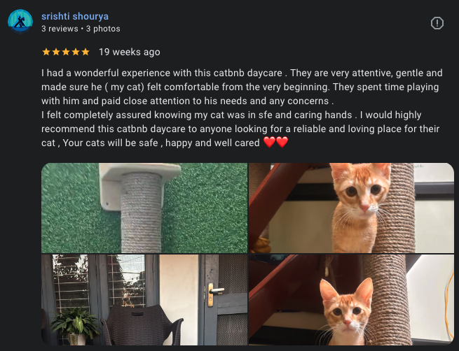Google review 19