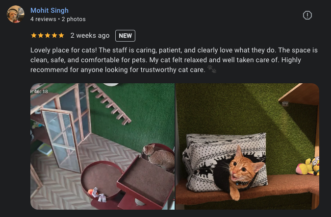 Google review 2