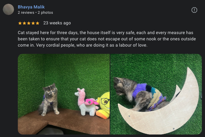 Google review 23