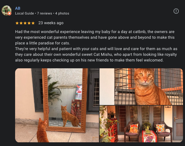 Google review 24