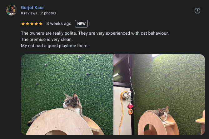 Google review 3