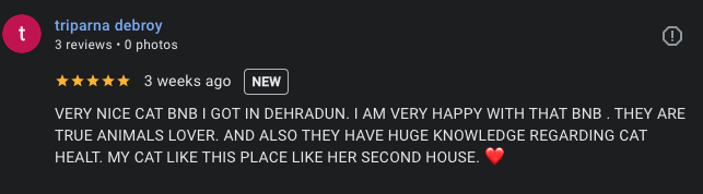Google review 4