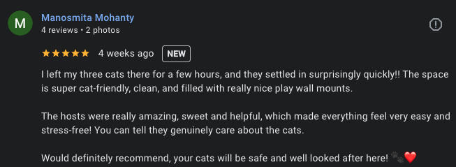 Google review 5