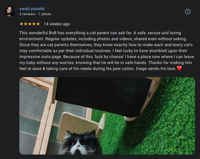 Google review 8